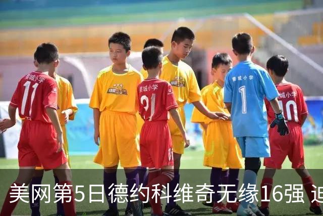 美网第5日德约科维奇无缘16强 迪米卢布列夫会师